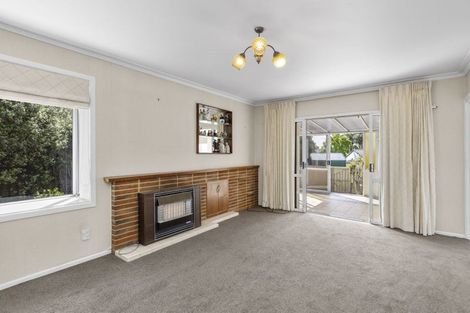 Photo of property in 19 Donny Avenue, Chartwell, Hamilton, 3210