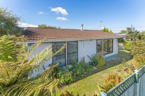 Photo of property in 2 Rawhiti Street, Taupo, 3330