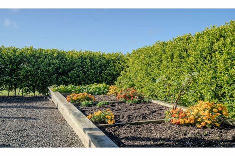 Photo of property in 120b Sandys Road, Waipapa, 0295