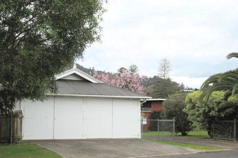 Photo of property in 100 Heale Street, Thames, 3500