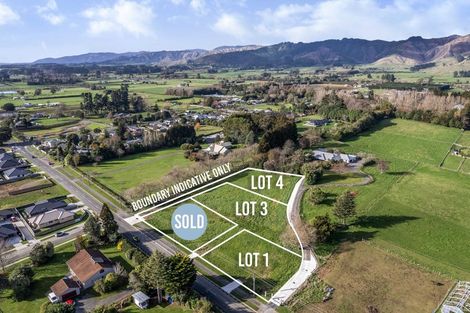 Photo of property in 43 Gillespie Street, Lake Hawea, 9382