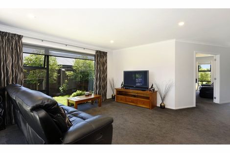 Photo of property in 16 Hart Road, Richmond, 7020