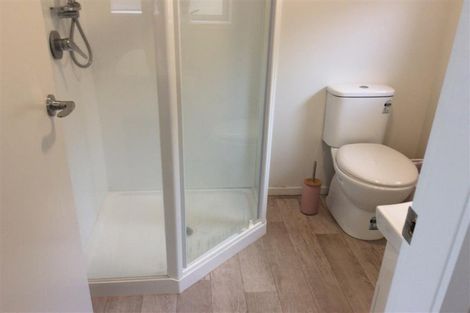 Photo of property in 12 Crescent Court, Melville, Hamilton, 3206