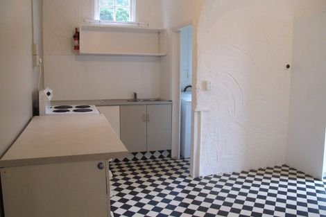 Photo of property in 41 Lees Street, Dunedin Central, Dunedin, 9016