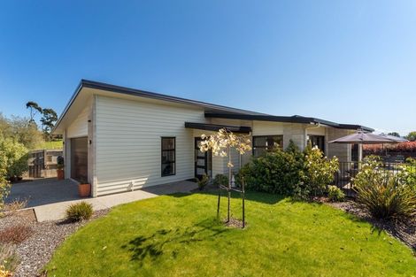 Photo of property in 22 Pine Crest Drive, Richmond, 7020