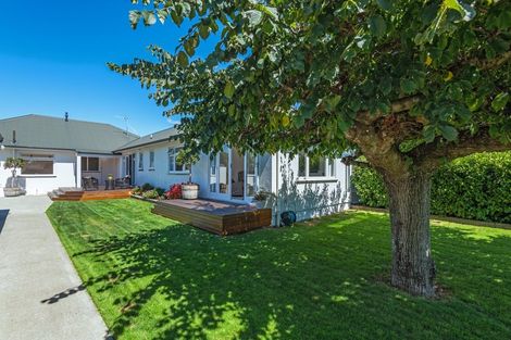 Photo of property in 85 Chelwood Street, Takaro, Palmerston North, 4412