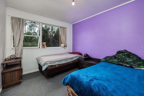 Photo of property in 20 Derrick Road, Kawakawa, 0210
