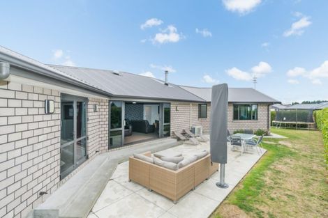 Photo of property in 6 Arnott Street, Feilding, 4702
