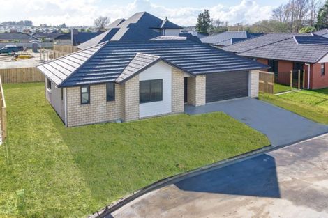 Photo of property in 8 Oderings Place, Huntington, Hamilton, 3210