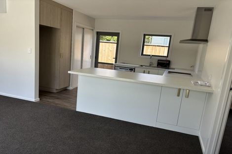 Photo of property in 49 Humber Street, Rongotea, 4476
