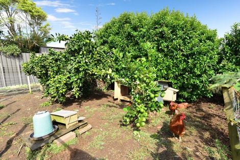 Photo of property in 14 Melva Street, Dinsdale, Hamilton, 3204