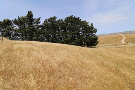 Photo of property in 668c Old Hill Road, Porangahau, 4291