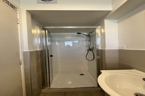 Photo of property in 8 Britton Avenue, Mount Roskill, Auckland, 1041