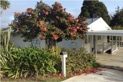 Photo of property in 29 Island Bay Road, Beach Haven, Auckland, 0626