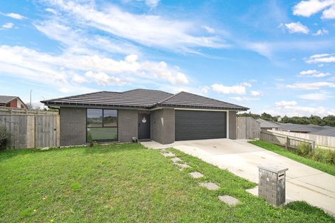 Photo of property in 9 Coptic Terrace, Pokeno, 2402