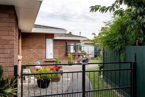 Photo of property in 183a College Street, Awapuni, Palmerston North, 4412