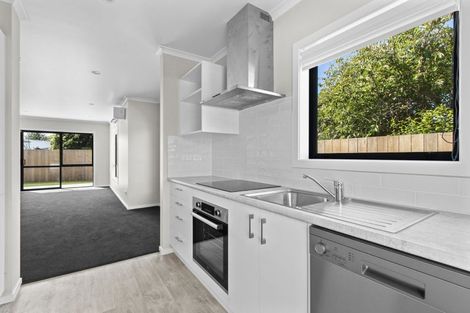 Photo of property in 20u3 Young Street, Claudelands, Hamilton, 3214