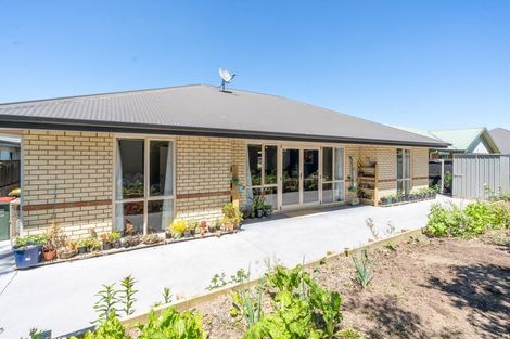 Photo of property in 8 Rochford Court, Hamilton East, Hamilton, 3216