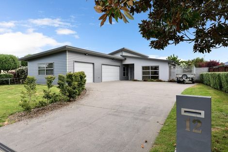 Photo of property in 12 Norfolk Drive, Cambridge, 3434