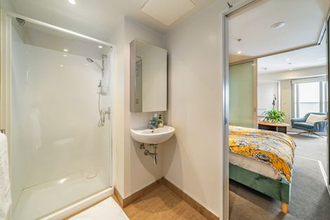 Photo of property in Soho Apartments, 720/74 Taranaki Street, Te Aro, Wellington, 6011