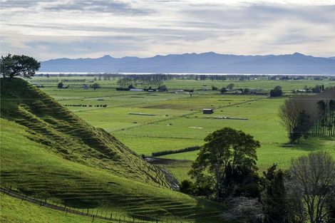 Photo of property in 399 Mahuta Road, Mangatarata, Thames, 3576