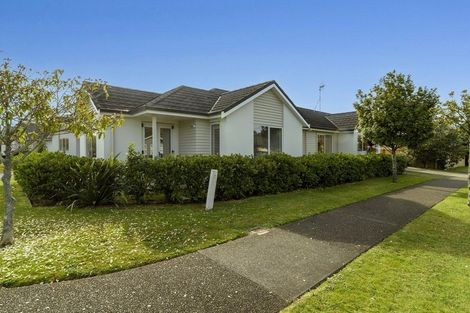 Photo of property in 20 Landing Drive, Pyes Pa, Tauranga, 3112
