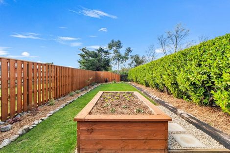 Photo of property in 4 Stonebridge Lane, Oxford, 7430