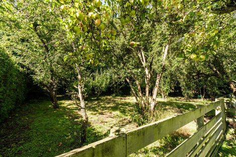 Photo of property in 17 George Street, Milton, 9220
