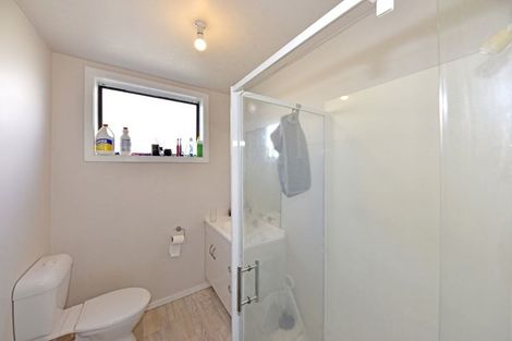 Photo of property in 15 Newcastle Street, Phillipstown, Christchurch, 8011
