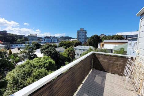 Photo of property in 137 Wallace Street, Mount Cook, Wellington, 6021