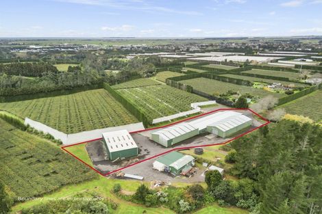 Photo of property in 288a No 3 Road, Te Puke, 3183