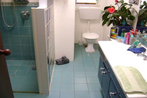 Photo of property in 500 Poplar Place, Akina, Hastings, 4122