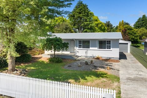 Photo of property in 194 Salisbury Street, Ashhurst, 4810