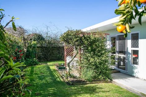 Photo of property in 50a Queen Street, Cambridge, 3434