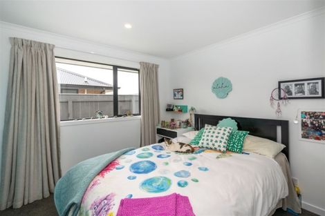 Photo of property in 5 Mustang Alley, Burleigh, Blenheim, 7201