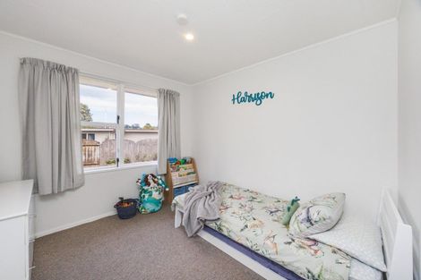 Photo of property in 20 Wills Crescent, Ashhurst, 4810