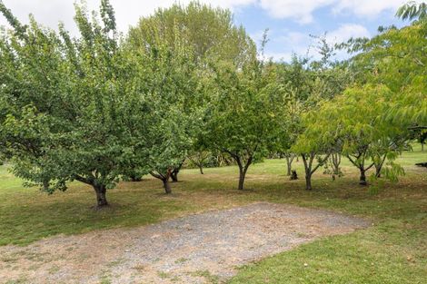 Photo of property in 87b Ongaonga Road, Waipawa, 4272