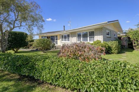 Photo of property in 27 Balmoral Terrace, Otumoetai, Tauranga, 3110