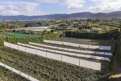 Photo of property in 416 State Highway 2, Tahawai, Katikati, 3170