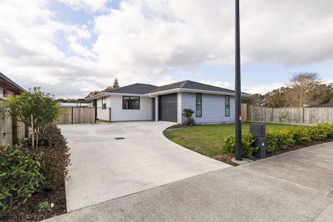 Photo of property in 11 Rayner Lane, Marton, 4710