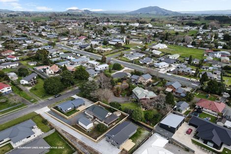 Photo of property in 4 Bryce Street, Kihikihi, Te Awamutu, 3800