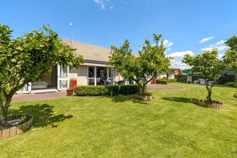 Photo of property in 6r Cherry Way, Bethlehem, Tauranga, 3110