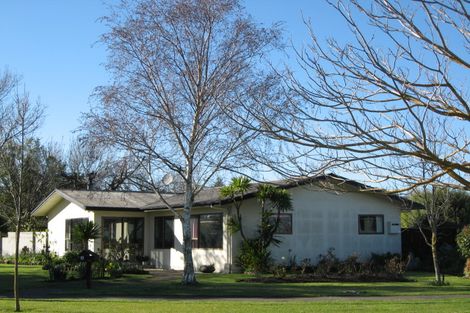 Photo of property in 105 Middle Road, Havelock North, 4130
