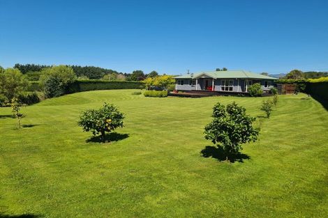 Photo of property in 87 Te Whanga Road, Levin, 5572