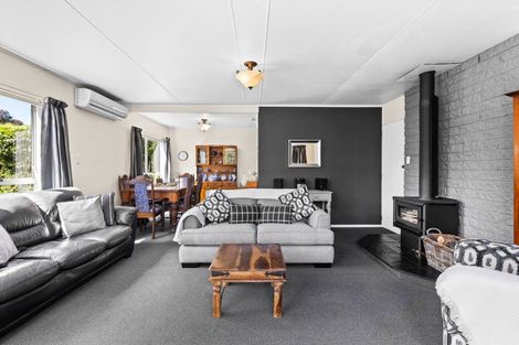 Photo of property in 24 Von Dadelszen Place, Havelock North, 4130