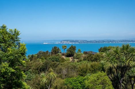 Photo of property in 11 Kaimata Road, Bay View, Napier, 4182