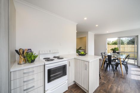 Photo of property in 52 Manawatu Street, Hokowhitu, Palmerston North, 4410