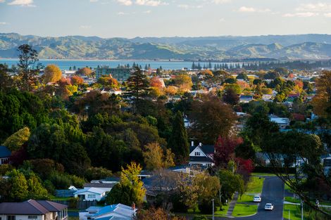 Photo of property in 71 Seddon Crescent, Whataupoko, Gisborne, 4010