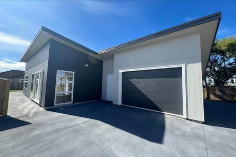 Photo of property in 86a Totara Street, Tawhero, Wanganui, 4501