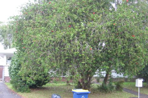 Photo of property in 40 Te Kanawa Crescent, Henderson, Auckland, 0610